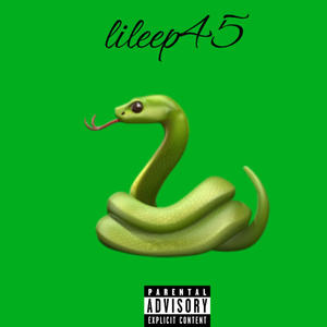 Snake (Explicit)