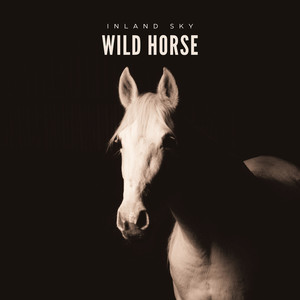 Wild Horse