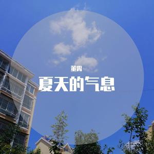 夏天的气息 (Remix)
