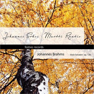 Sonate Es-Dur, Op. 120 No. 2 - II. Allegro appassionato