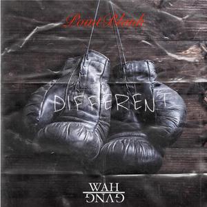 WAH GVNG - Different(feat. PointBlank) (Explicit)