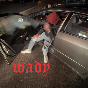 Wady (feat. Turczyn) (Explicit)