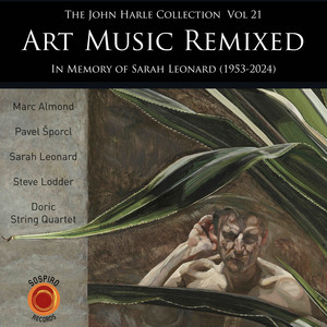 The John Harle Collection, Vol. 21: Art Music Remixed