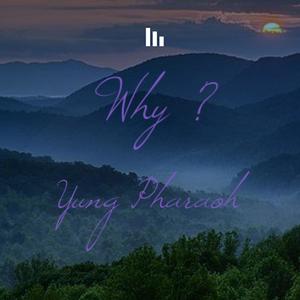 Why ? (Explicit)