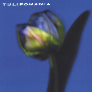 Tulipomania