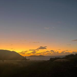 Run (feat. Sara Grace)