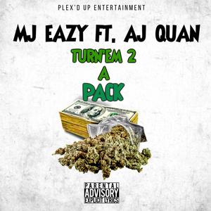 TURN'EM 2 A PACK f (feat. AJ QUAN & Young Row) (Explicit)