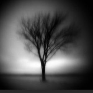 Trapped Out Alternative (Explicit)