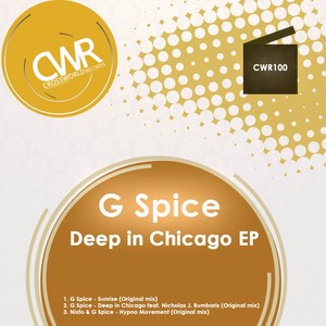 Deep In Chicago (Original Mix)