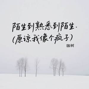陌生到熟悉到陌生 (原谅我像个疯子)