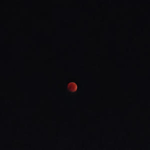 FREE LO-FI BOOM BAP TYPE BEAT (MOON) (Explicit)