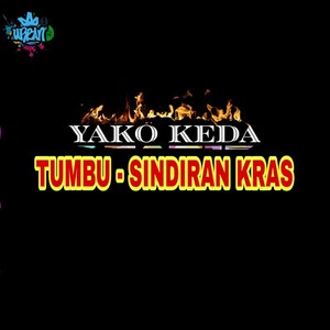 TUMBU - SINDIRAN KRAS