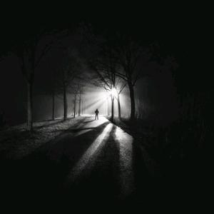 至此流年各天涯