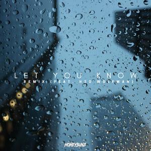 Let You Know (Remix) (feat. H2Owolfman) [Explicit]