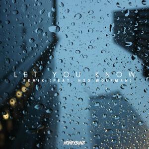 Let You Know(feat. H2Owolfman) (Remix|Explicit)