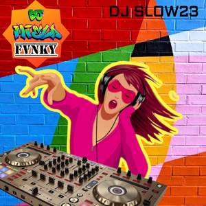 DJ Slow