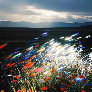 DJZSY - 爱终成道枷锁