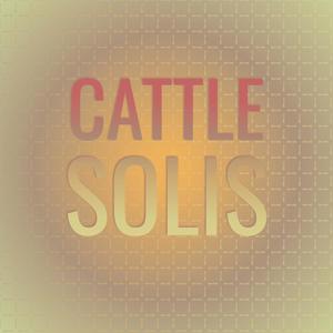 Cattle Solis
