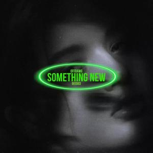 Something New (feat. DeeDice)