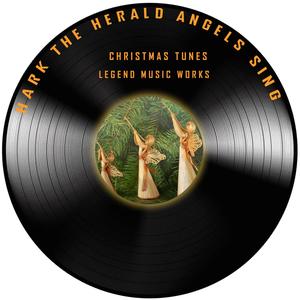 Hark the Herald Angels Sing(12 String Guitar)