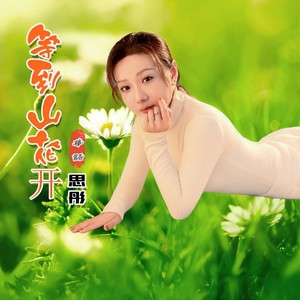 等到山花开 (伴奏)