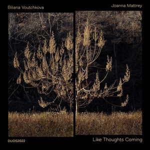 Like Thoughts Coming