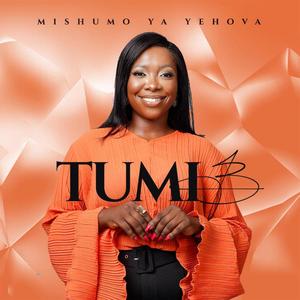 Mishumo Ya Yehova (Live)