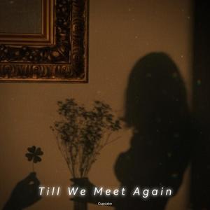 Till We Meet Again