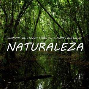 Sonidos para el Sueño Profundo: Naturaleza, Pt. 20