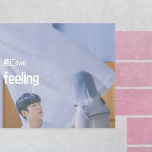 Feeling (偶然发现的一天)