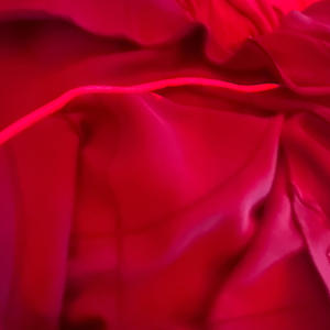 Pink militia (Explicit)