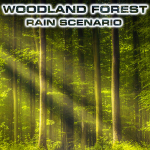 Woodland Forest Rain Scenario (feat. Atmospheres Sounds, Rain Water Sounds, Forest Breeze Sounds FX, Calming Nature Sound FX, Rain Atmosphere Sounds & Thunder & Wind Atmosphere)