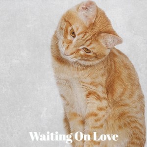 Waiting On Love