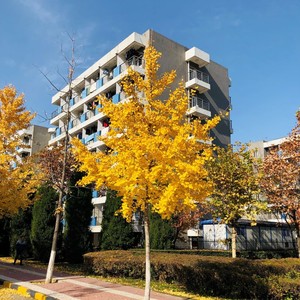 我也不知道是什么东西