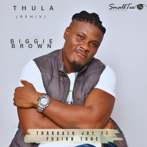 Thula (feat. Fusion Tone & Biggie Brown) (Remix)