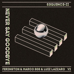 Never Say Goodbye (Extended Mix)