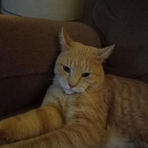 Man of God (feat. Lil SteveMC) (Explicit)