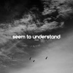 seem to understand