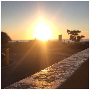 no one else compares