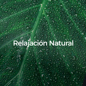 Relajación Natural: Música y Sonidos Para Dormir