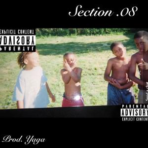 Section .08 (Explicit)