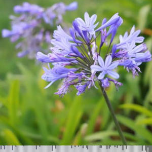 Seasons Change (feat. Lil Linki)