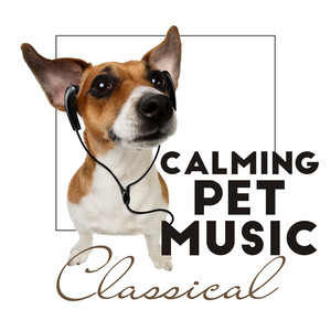 Calming Pet Music: Classical Piano Music for Dogs, Cats and Others Pupils