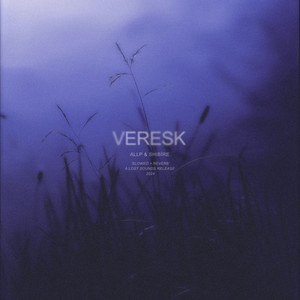 veresk (slowed + reverb)