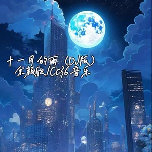 十一月的雨 (DJ版)