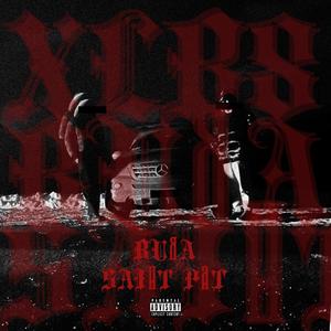 XLR8 (feat. Saint Pat) [Explicit]