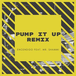 Blaze It (feat. Mr. Shammi) (Encendido Remix)