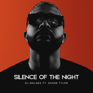 SILENCE OF THE NIGHT
