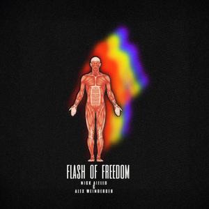 Flash of Freedom (feat. Alex Weinberger)