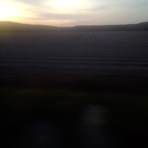 3 and pac (feat. Dupac) (Explicit)